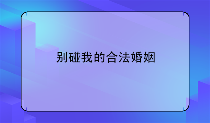 别碰我的合法婚姻