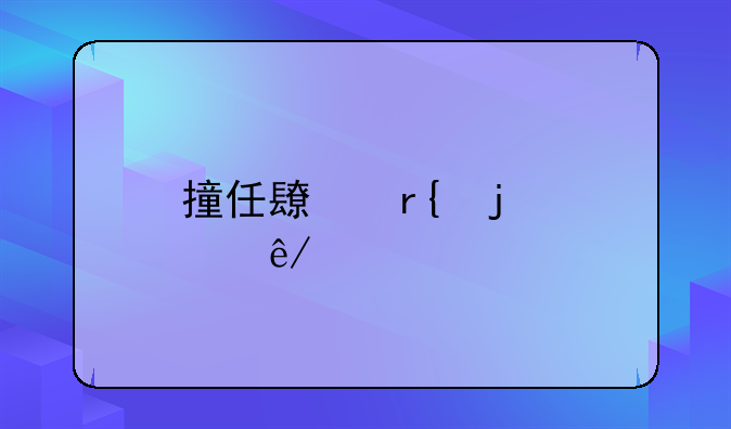 撞任长霞的肇事者