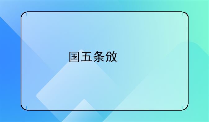 国五条政策