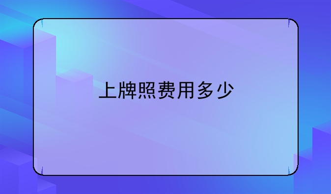 上牌照费用多少