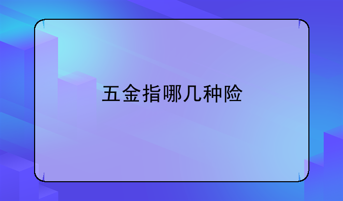 五金指哪几种险