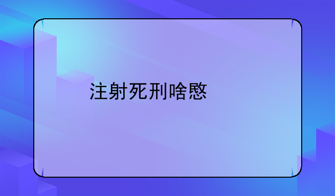 注射死刑啥意思