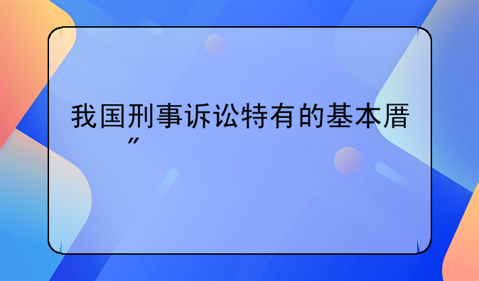 我国刑事诉讼特有的基本原则