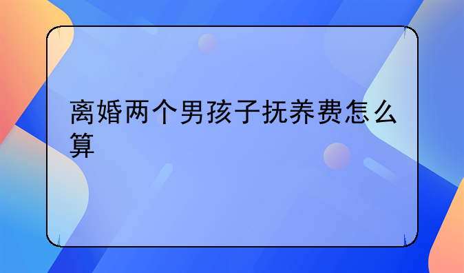 离婚两个男孩子抚养费怎么算