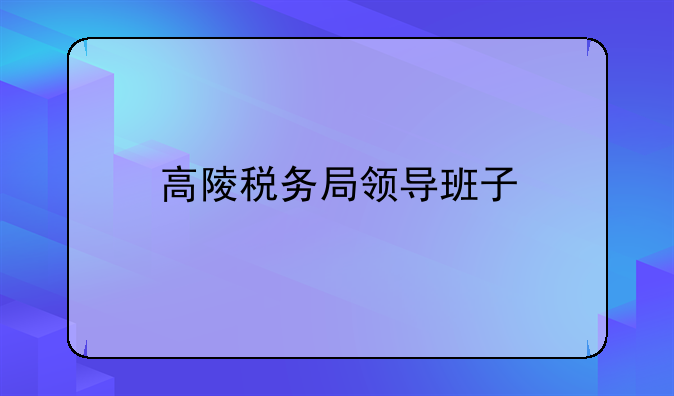 高陵税务局领导班子