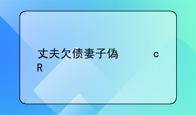 丈夫欠债妻子偿还电视剧