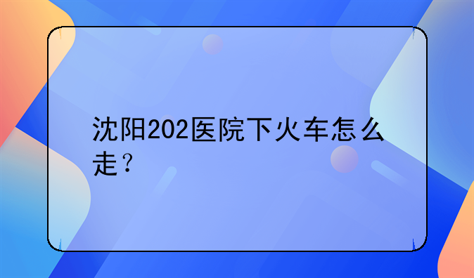 沈阳202医院下火车怎么走？