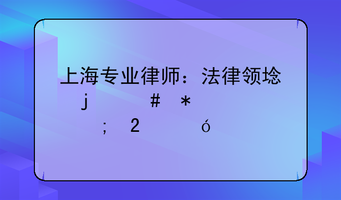 上海专业律师：法律领域的守护者与指导者