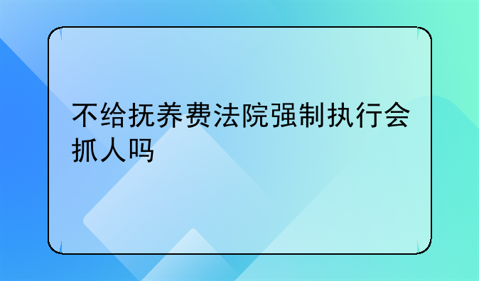 不给抚养费法院强制执行会抓人吗