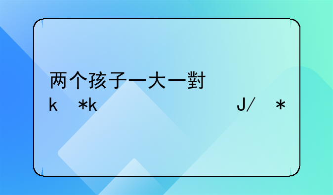 两个孩子一大一小离婚抚养费咋办