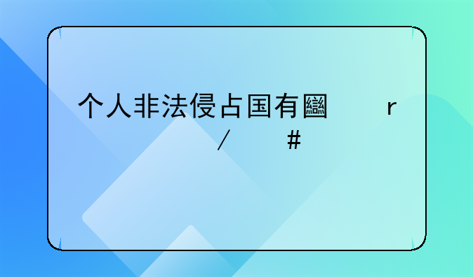 个人非法侵占国有土地罪立案标准