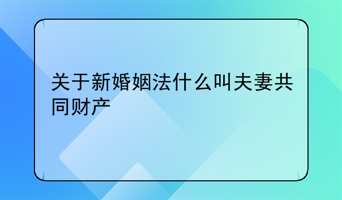 关于新婚姻法什么叫夫妻共同财产