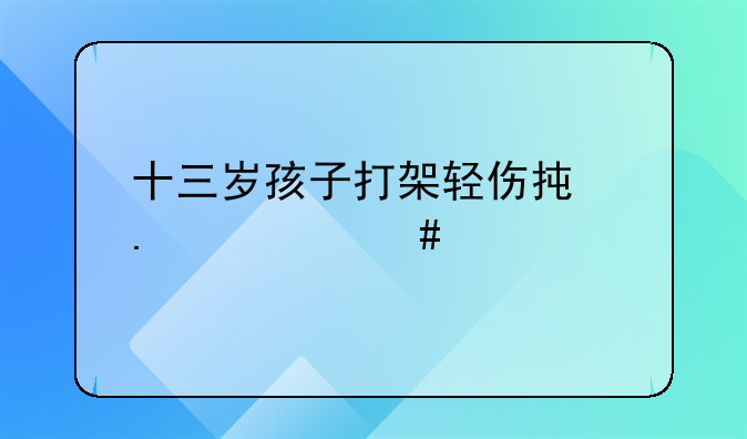 十三岁孩子打架轻伤承担什么责任