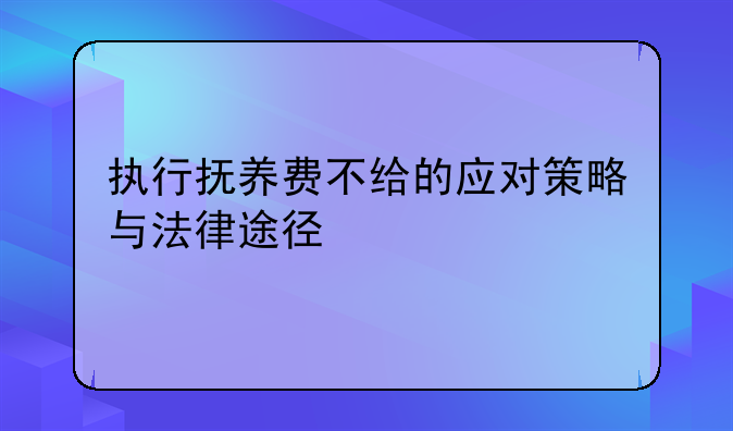 执行抚养费不给的应对策略与法律途径