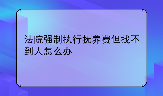 法院强制执行抚养费但找不到人怎么办