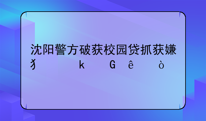 沈阳警方破获校园贷抓获嫌犯多少人？
