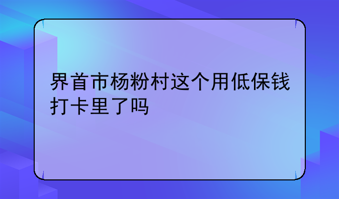 界首市杨粉村这个用低保钱打卡里了吗